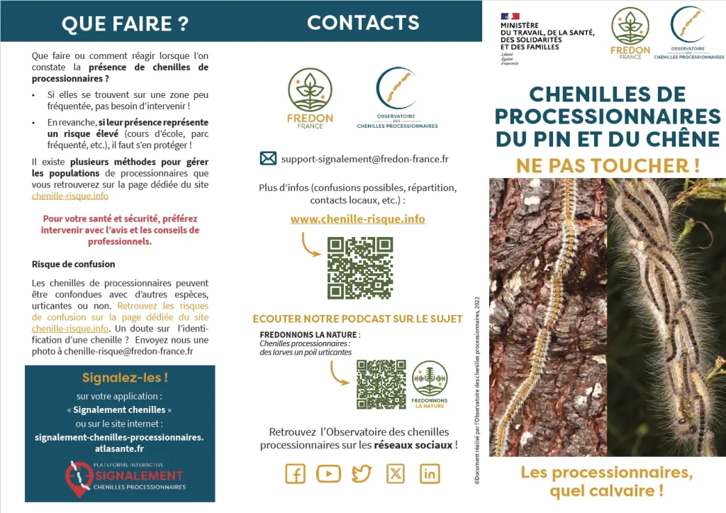 Lire la suite de l'actualité Communication chenilles processionnaires